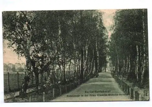 Ak Berlin Karlshorst Promenade in der Prinz Friedrich Wilhelm Strasse 1916