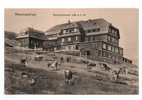 Ak Riesengebirge Hampelbaude um 1910 Schlesien