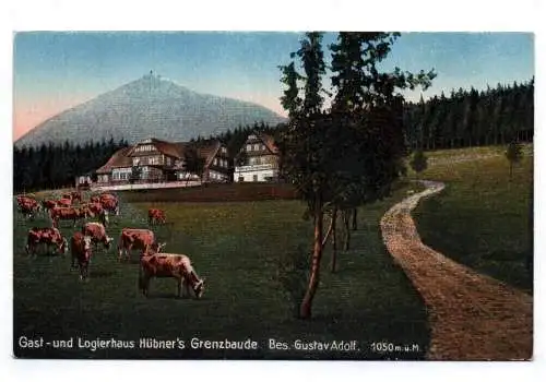 Ak Klein Aupa Böhmen Gasthaus Logierhaus Hübner Grenzbaude