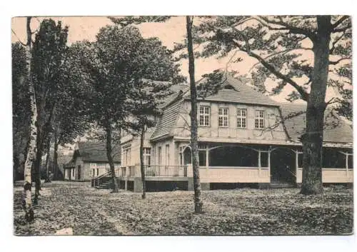 Ak Gruß aus dem Hainholz Pritzwalk Restaurant mit Forsthaus 1912