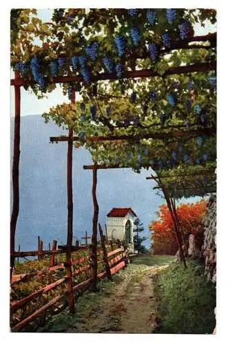 Ak Dürnstein Algund Südtirol