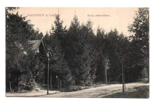 Litho Ak Naunhof bei Leipzig König Albert Hütte 1910