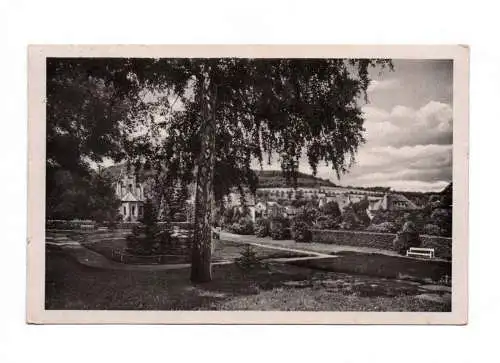 Ak Luftkurort Stecklenberg Harz Kurpark 1954