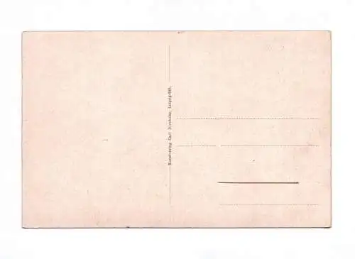 Litho Ak Pegau Königliches Rathaus