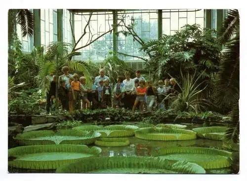 Foto Ak Hauptstadt der DDR 1986 Tierpark Berlin