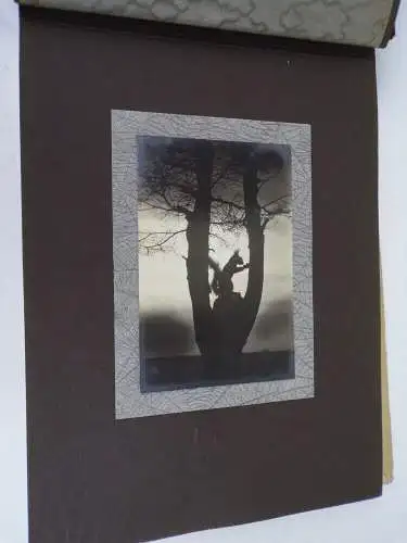 Altes Fotografen Fotoalbum Kunstfotos geschmackvolle Motive 1920 er 