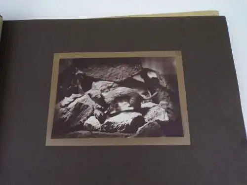 Altes Fotografen Fotoalbum Kunstfotos geschmackvolle Motive 1920 er 