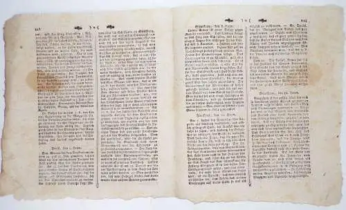 Mannheimer Zeitung 1795 und 1796 Mannheim