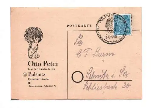 Postkarte Gartenbaubetrieb Pulsnitz 1954