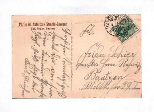 Ak Partie im Naturpark Strehla Bautzen 1915