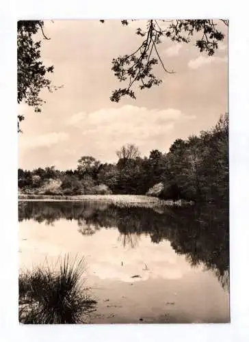 Foto Ak Michendorf bei Potsdam Herthasee 1970