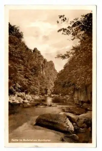 DDR Ak Partie im Bodetal am Waldkater 1963