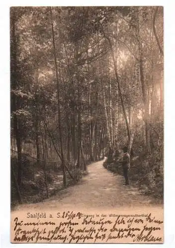 Ak Saalfeld Eingang in das Wittmannsgereutherthal 1904