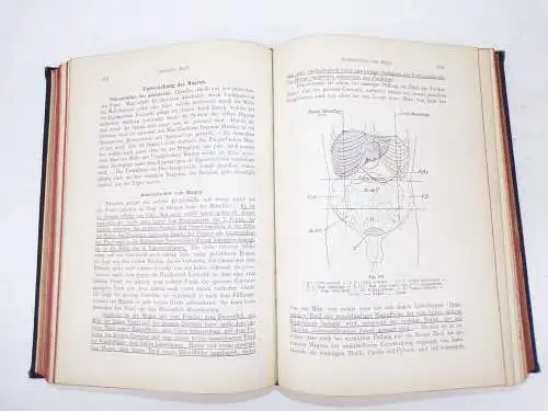 Diagnostik der inneren Krankheiten 1901 Dr Oswald Vierordt Buch