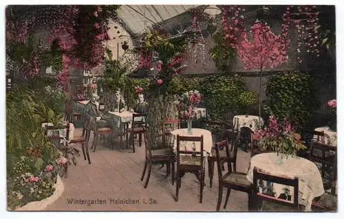 Ak Wintergarten Hainichen Sachsen 1922