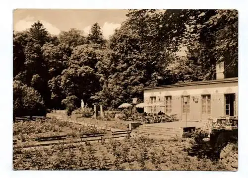 DDR Ak Putbus Rügen Rosengarten 1964