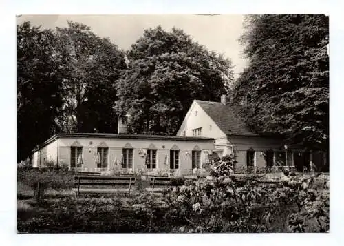 DDR Ak Putbus Rügen Rosen Cafe im Stadtpark 1964