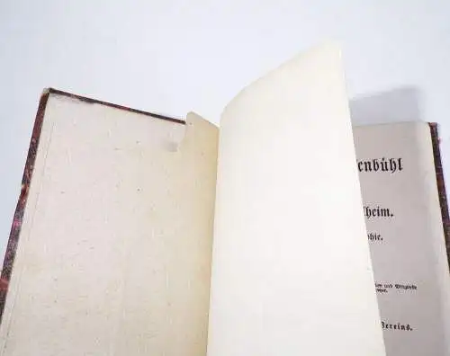 Die Schlacht am Hasenbühl und das Königskreuz zu Göllheim 1835 Johann Geisel