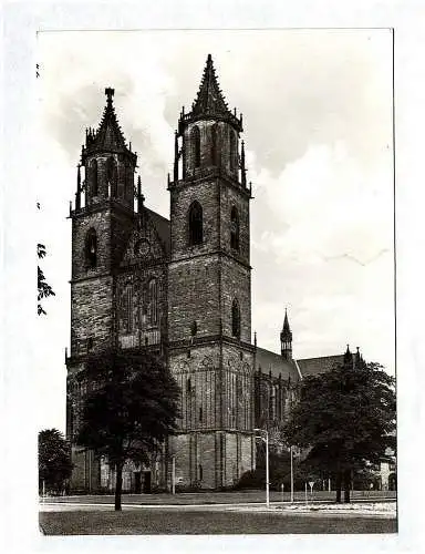 Ak Magdeburg Dom Echtfoto DDR