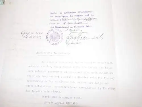 Mappe Dokumente Konsul verstorbener Dresden in Italien Nervi bei Genua 1906