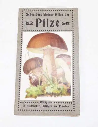 Alter Pilze Atlas Schreiber Esslingen Leporello Mykologie