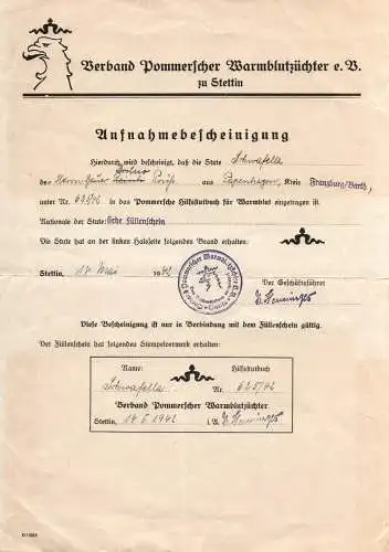 Aufnahme Bescheinigung Verband Pommerscher Warmblüter Stettin Pferde 1942