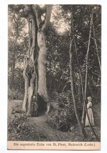 Ak Medewich Lothringen sagenhafte Eiche St. Pient 1917