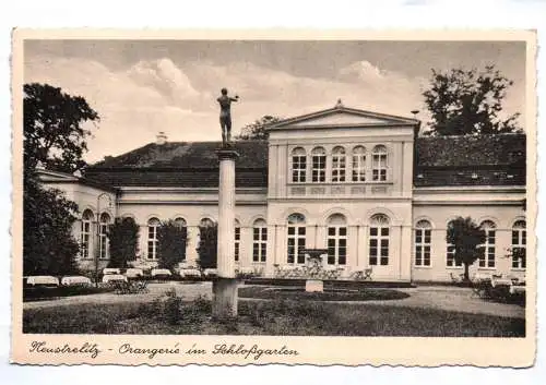 Ak Neustrelitz Orangerie im Schloßgarten 1941