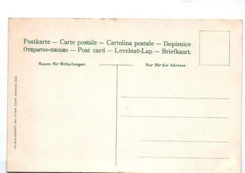 Litho Ak Pirna Elbe Dampfer um 1910