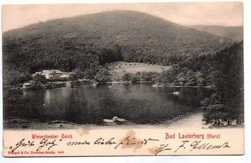 Litho Ak Bad Lauterberg Harz Wiesenbeeker Teich 1904