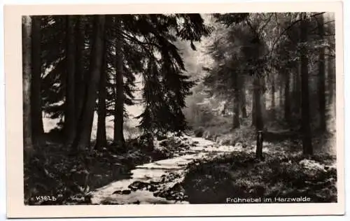 Ak Frühnebel im Harzwalde Harz 1954 Stempel