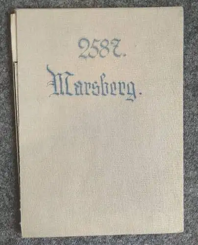 Karte Marsberg 1:25000 Leinen Landkarte 1909