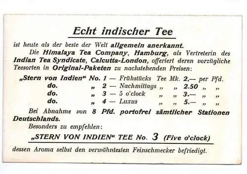 Reklame Karte Stern von Indien Tee Indische Teepflückerin um 1910