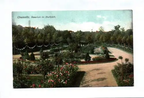 Ak Chemnitz Rosarium im Stadtpark