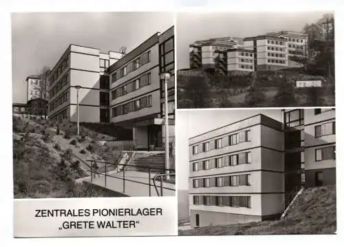 Ak Grete Walter Sebnitz Zentrales Pionierlager 1985