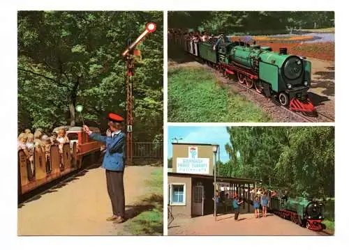 Ak Dresden Pioniereisenbahn 1979