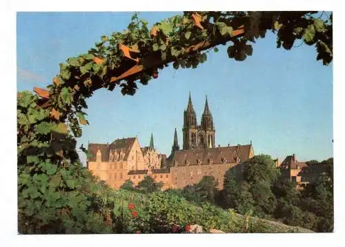 Foto Ak Meissen Albrechtsburg und Dom Blick von den Weinbergen 1982