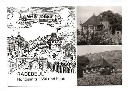 Ak Radebeul Hoflössnitz 1650 und heute Schloss 1982