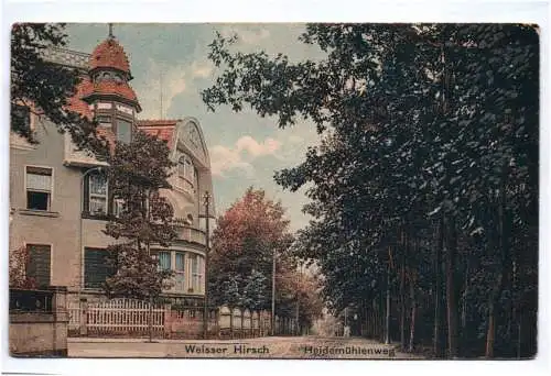 Ak Dresden Weisser Hirsch Heidemühlenweg 1913