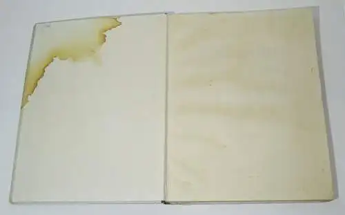 Kindergarten von Rudolf Löwenstein Paul Haase 1907 Kinderbuch