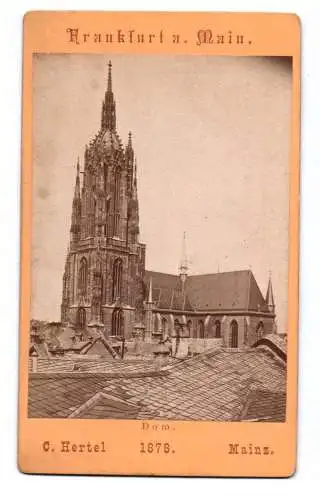 CDV Foto Frankfurt am Main 1878 Hertel Mainz Fotografie