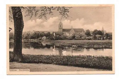 Ak Güstrow Domkirche Schwan