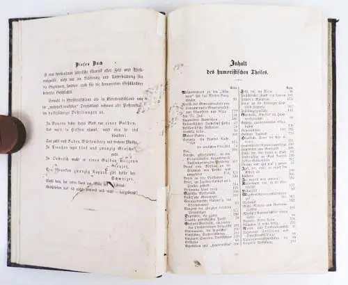 Münchener Punsch humoristisches Original Blatt 13 Band 1860 Humor Satire