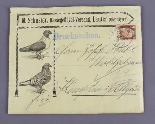 Werbung Rassegeflügel Schuster Lauter Bayern 1911 Tauben Geflügel