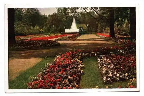 Foto Ak Dresdner Jahresschau 1937 Garten und Heim