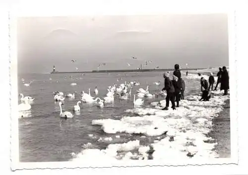 Foto Ak Warnemünde 1970 Kinder und Schwäne am Strand Meer