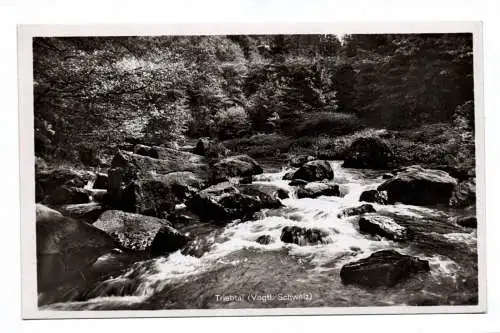 Foto Ak Triebtal Vogtländische Schweiz Naturschutzgebiet