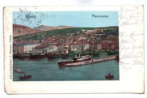 Ak Trieste Panorama 1902 Italien