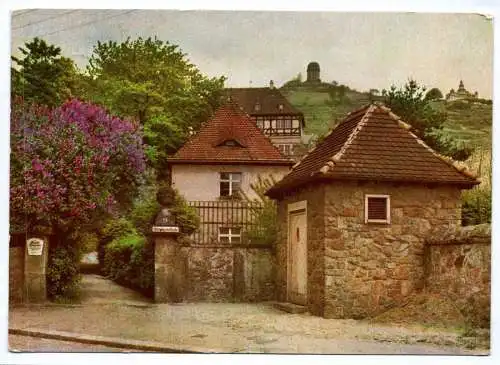Ak Radebeul Die Lößnitz blüht Aufgang zum Schloss Hoflößnitz DDR