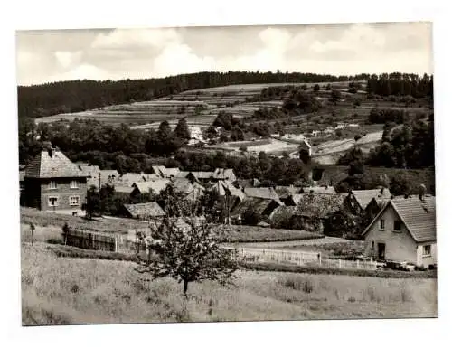 Foto Ak Erlau Thüringen Blick vom Fabigberg Echt Foto